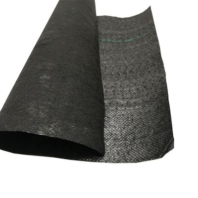 PP ad alta resistenza alla trazione 70GSM-400GSM Geotessile tessuto per il controllo delle erbacce del giardino di mirtilli