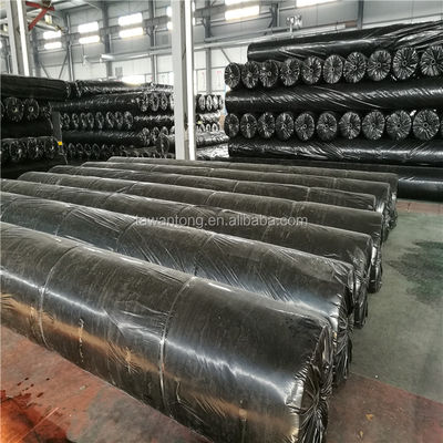 Polyester Geotextile non tessuto 250gm Tessuto perforato a ago Fibra lunga Fibra corta 400g