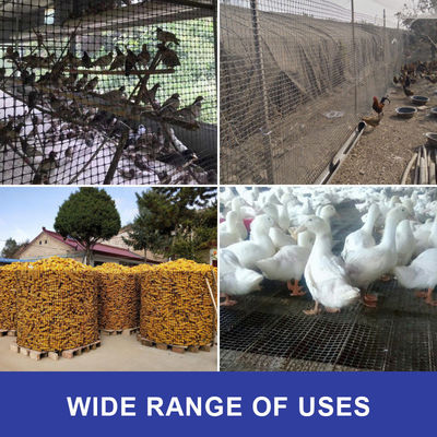 CE/ISO9001 Certificato PP Biassiale Geogrid per la costruzione mineraria e civile