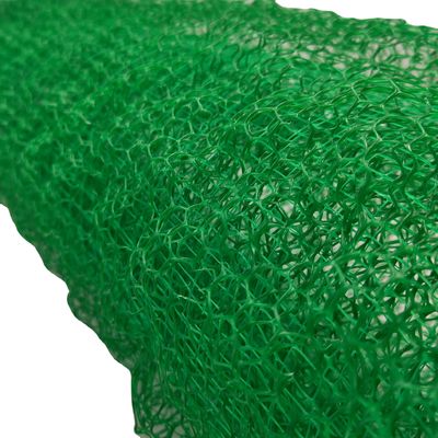 Progettazione contemporanea 2m larghezza controllo dell'erosione Geonet/Geomat con copertura vegetativa 3D
