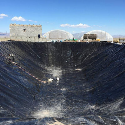 Stile di progettazione contemporaneo 40mil o 1mm Geomembrana liscia HDPE Pond Liner Formazione in loco