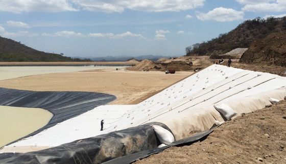 30m lunghezza normale Legno nero in argilla geosintetica Ideale per discariche Sistema impermeabile
