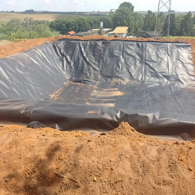 GB/ASTM GRI-GM13 Geomembrana in HDPE di spessore di 1,0 mm per discarica di stagni per pesci