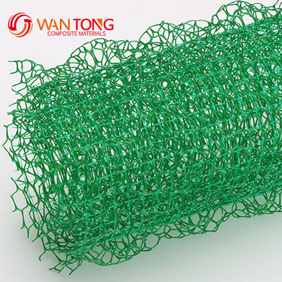 CE/ISO9001/ISO14001 Certificato di plastica 3D Net Vegetation Grass Paver Geonet per la protezione dei pendii