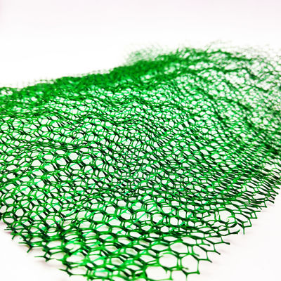 CE/ISO9001/ISO14001 Certificato di plastica 3D Net Vegetation Grass Paver Geonet per la protezione dei pendii