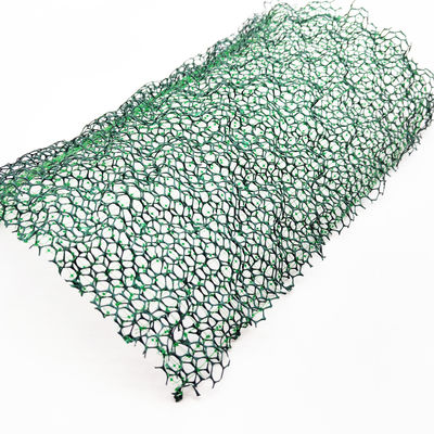 CE/ISO9001/ISO14001 Certificato di plastica 3D Net Vegetation Grass Paver Geonet per la protezione dei pendii