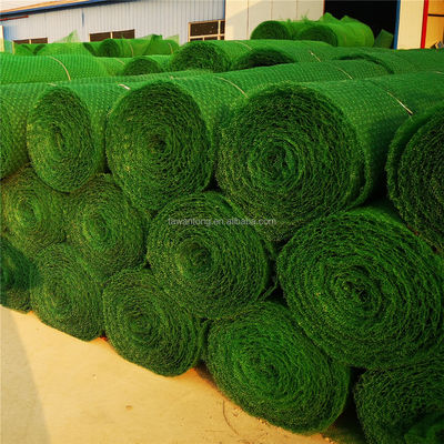 CE/ISO9001/ISO14001 Certificato di plastica 3D Net Vegetation Grass Paver Geonet per la protezione dei pendii