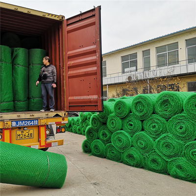 CE/ISO9001/ISO14001 Certificato di plastica 3D Net Vegetation Grass Paver Geonet per la protezione dei pendii
