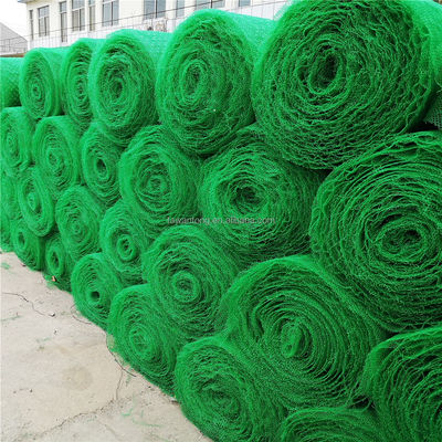 CE/ISO9001/ISO14001 Certificato di plastica 3D Net Vegetation Grass Paver Geonet per la protezione dei pendii