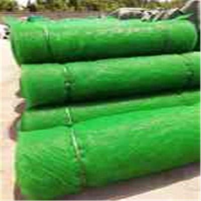 Controllo dell'erosione in HDPE PP 3D Copertura vegetativa Geomat Pavimentazione di erba per la protezione dei pendii
