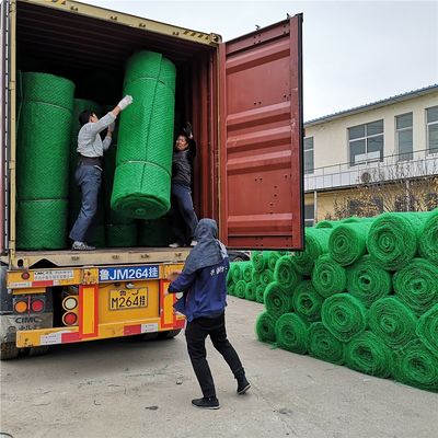 Matto di controllo dell'erosione geomatrico in HDPE 3D di design cinese per la protezione dei pendii Em2 Em3 Em4 Em5
