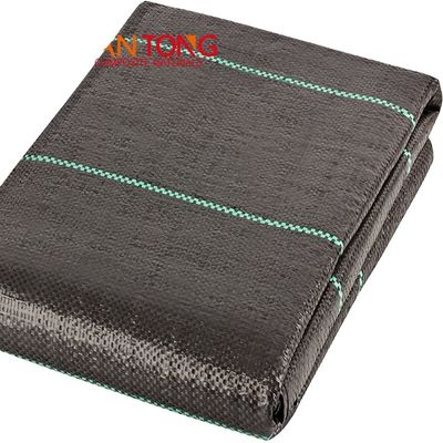 PP tessuto Geotextile barriera antierba tessuto paesaggistico per copertura del suolo larghezza 1-6m