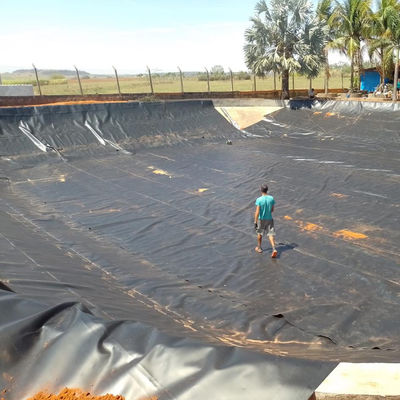 0Geomembrana in HDPE blu da 75 mm per stagni di gamberetti e allevamenti di pesci a costi accessibili