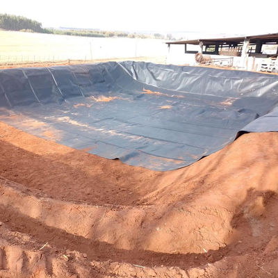 Shandong HDPE Geomembrane 0,5 mm per stagno Liner allevamenti ittici Pound Pool discarica