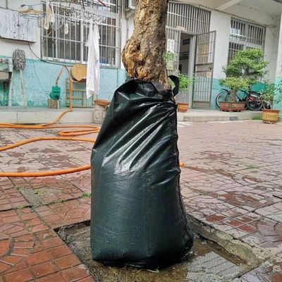 Sistema di irrigazione a goccia per l'irrigazione degli alberi Risparmio d'acqua e sviluppo delle radici