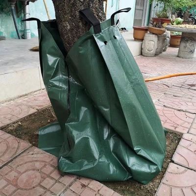 Sistema di irrigazione a goccia per l'irrigazione degli alberi Risparmio d'acqua e sviluppo delle radici