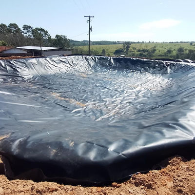 Fabbrica Contemporanea 0.5mm HDPE Geomembrane Liner Sheet per Pesci allevamento stagno Liner