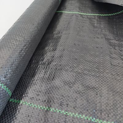 40gm-230gm Agricoltura Tissu di copertura del suolo in PP per il controllo delle erbe infestanti nel giardino di fragole