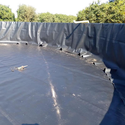 100% di HDPE vergine LLDPE Geomembrana impermeabile per stagno di pesce HDPE rotoli per l'allevamento di gamberetti