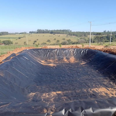 GB/ASTM GRI-GM13 Standard 0.5mm Geomembrane Fish Tank Liner in progettazione contemporanea
