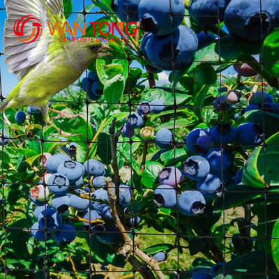 PP/HDPE Plastic Net Garden Mesh Mantenere le vostre verdure al sicuro con HDPE PP