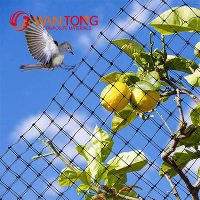 PP/HDPE Plastic Net Garden Mesh Mantenere le vostre verdure al sicuro con HDPE PP