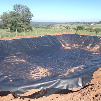 Acquario di allevamento di gamberetti Geomembrana in HDPE con larghezza da 2 a 8 m e materiale vergine al 100%