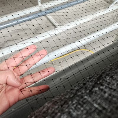 12 gm PP plastica rete mesh per pollo anti-uccello rete in giardino frutteto e vigneto