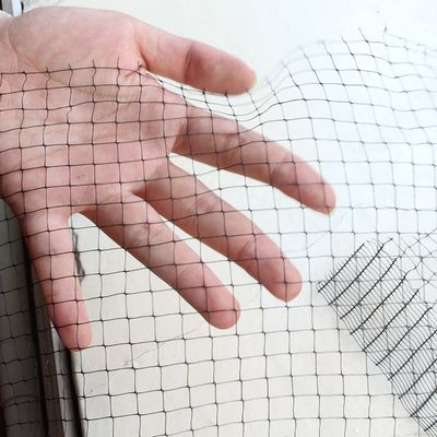 12 gm PP plastica rete mesh per pollo anti-uccello rete in giardino frutteto e vigneto