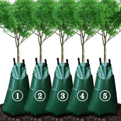 25 galloni Taschino di irrigazione per radici a rilascio lento per alberi Sistema automatico di irrigazione a goccia