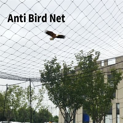 CE ISO Certificato BOP Stretched PP Net Long Life Durable Anti Bird Netting Plastic Mesh per la sicurezza del giardino