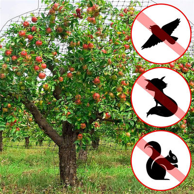 Resistenza ai raggi UV rete di plastica in PP verde bianco nero per il controllo delle reti antiuccelli/deer conigli