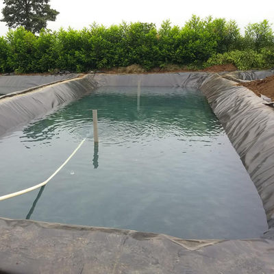 GB/ASTM GRI-GM13 Rivestimento geomembrana HDPE standard per materiale impermeabilizzante per la piscicoltura