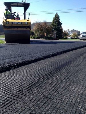 Costruzione di garage basalto rinforzo di fibra di vetro Geogrid con 50-200m di lunghezza