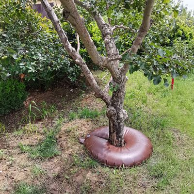Sacchetto di irrigazione per alberi ad alta durezza superficiale per irrigazione a goccia automatica e regolabile