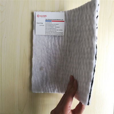 3D Net for Turf Reinforcement Mat TRM CE/ISO9001/ISO14001 Certificato e di lunga durata