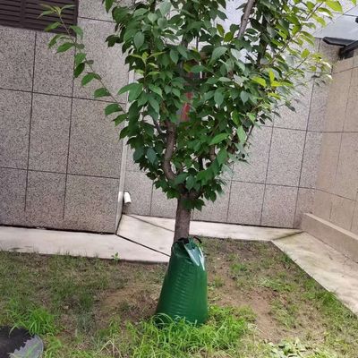 Verde 2 confezioni 15 galloni a rilascio lento Irrigazione a goccia per alberi Acquario CE/ISO approvato