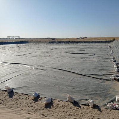 Geomembrana in HDPE per stagno di gamberetti in Indonesia 1 mm di spessore Materiale durevole
