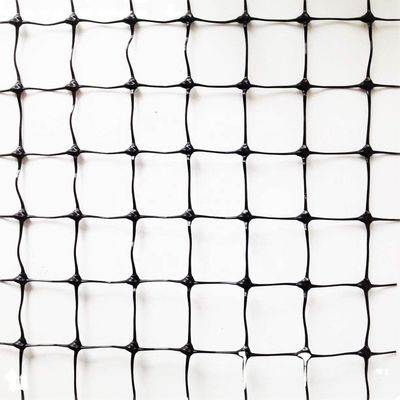 1.5cm Mesh 27gsm PP Anti Bird Net per l'uva o alberi da frutto lunghezza personalizzata