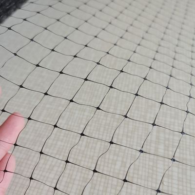 1.5cm Mesh 27gsm PP Anti Bird Net per l'uva o alberi da frutto lunghezza personalizzata