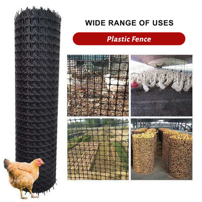 Griglia di rete biassiale con 15KN 20KN 25KN 30KN 40KN Polipropilene Plastica PP