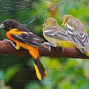 CE ISO certificato pesante anti-uccello reticolare reticolare reticolare per orto in serra giardino