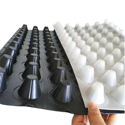 Prodotti per la terraforestazione Tavola di drenaggio a fossette in HDPE da 8 mm con certificazione ISO9001