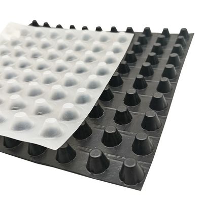 Prodotti per la terraforestazione Tavola di drenaggio a fossette in HDPE da 8 mm con certificazione ISO9001