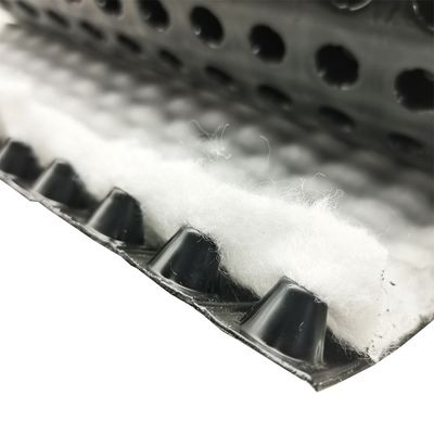 Prodotti per la terraforestazione Tavola di drenaggio a fossette in HDPE da 8 mm con certificazione ISO9001