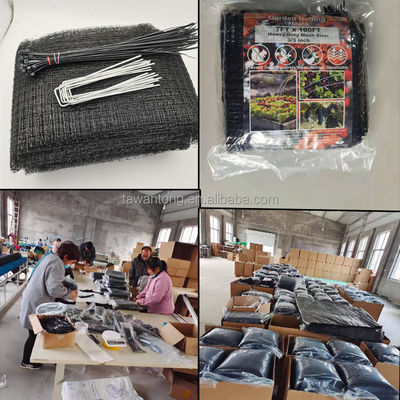 7*100ft PP Materiale Maglia Estrusa Antimolle Rete Nera Nera di Plastica per Agricoltura