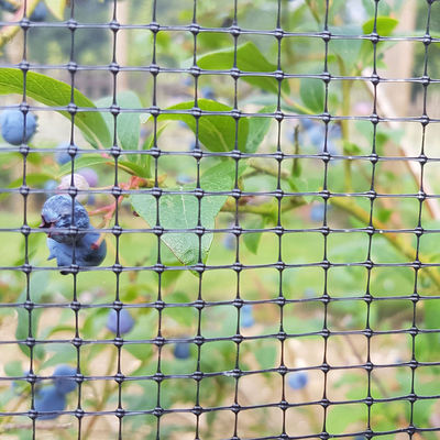 Lunghezza personalizzata PP Posti agricoli ortofrutticoli Bop giardino rete cervo coniglio rete recinzione CE ISO