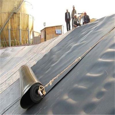 1mm Geomembrane Liner personalizzato per Biodigester di discarica e stagno di pesci o gamberetti