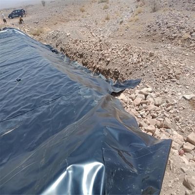 Fabbrica di pesci Liner stagno lamiera impermeabile 1,5 mm monofacciale tessuto HDPE nero Geomembrana