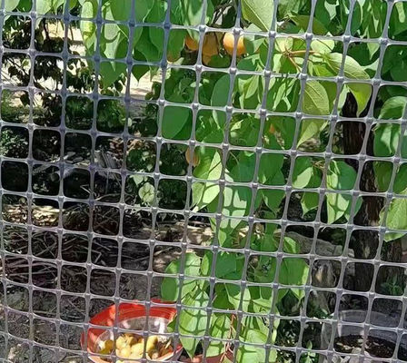 Geogrid di plastica biassiale in PP approvata CE/ISO per la costruzione di strade in stile di progettazione cinese